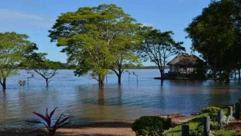 La Prefectura de Monte Caseros ha activado la Etapa de Alerta debido al avance del río Uruguay,